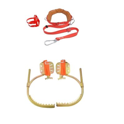Tree Climbing Spikes Set with Adjustable Harness & Foot Strap - Climbing Gear for Fruit Picking & Logging(25cm)