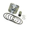 44mm Piston Set Fit For 60cc 4 Stroke Fully Automatic Electric Start Engine ZS1P44FMC view 1