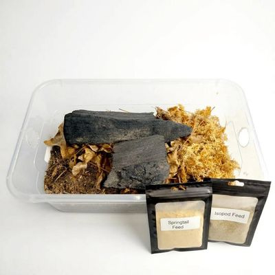 TC INSECTS Ultra Isopod Habitat Kit - Rottwood + Flake | Live Isopod Bundle Cleanup Crew | Live Arrival Nationwide!