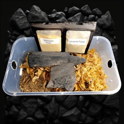 TC INSECTS Premium Isopod Habitat Kit | Live Isopod Bundle Cleanup Crew | Live Arrival Nationwide!