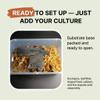 TC INSECTS Premium Isopod Habitat Kit | Live Isopod Bundle Cleanup Crew | Live Arrival Nationwide! view 3
