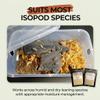 TC INSECTS Premium Isopod Habitat Kit | Live Isopod Bundle Cleanup Crew | Live Arrival Nationwide! view 4