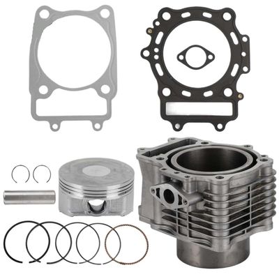 Cylinder Piston Kit Compatible With 600 Z6 Snyper Z-Force Terracross Terralander 625