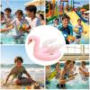 Animal Pool Floats Swan-Shaped Inflatable Ring view 2