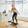 Ski Balance Board with LCD Display, Rock Stepper with Resistance Bands, Portable Wobble Board for Adults, Ski Trainer for Home Gym, Full Body Workout Balance Trainer with Calorie Counter (Black) view 2
