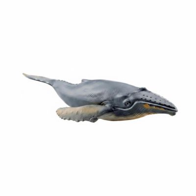 EHJRE Educational Marine Figure Realistic PVC Baleen Mammal Animal Toy Display Model Figurine Suitable for Classroom Study Desk Decorations Collection 22x9.2x4.2cm