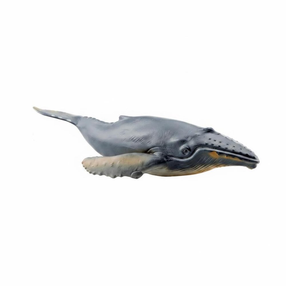 EHJRE Educational Marine Figure Realistic PVC Baleen Mammal Animal Toy Display Model Figurine Suitable for Classroom Study Desk Decorations Collection 22x9.2x4.2cm