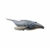 EHJRE Educational Marine Figure Realistic PVC Baleen Mammal Animal Toy Display Model Figurine Suitable for Classroom Study Desk Decorations Collection 22x9.2x4.2cm view 1