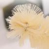 2pcs Long Handle Nylon Bottle Brush Cleaner for Kettles view 4
