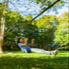 Adventure Sports 30' Slider Line for Kids, Backyard Zip Line Slack Line Set with Blue Swing, Ages 5 and Up, 250 lb Capacity view 4