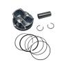 PISTON KIT For SEGWAY 570 Snarler AT6 S T3b, Snarler AT6 L T3b, Snarler AT6 S E5, Snarler AT6 L E5 F01B00100001 view 3