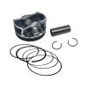 PISTON KIT For SEGWAY 570 Snarler AT6 S T3b, Snarler AT6 L T3b, Snarler AT6 S E5, Snarler AT6 L E5 F01B00100001 view 4