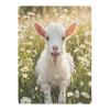 Lamb Daisies Pack n Play Sheets Fitted Playard Mattress Sheet view 1