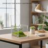 Clear Acrylic Cube Display Case, 2.36 Inch Transparent Box for Mini Collectibles and Desktop Decor, Durable Plastic Showcase view 2