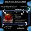 Cocktail Recipe Cards: Home Bartender Set of 52, Educational Drink Recipe Cards. Step by Step Instruction, Extra Large 5 x 7, Stain Resistant, Glossy Finish. Make Cocktails Like a Pro. view 4