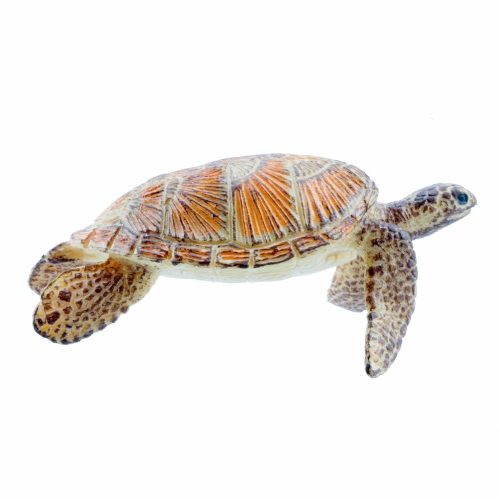 CAQYPVH Sea Turtle Model Realistic Sea Turtle Figure Detailed Toy for Kids, Classroom