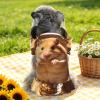 Hamsters are Funny Medium Pet Apparel for Small Dogs-Cute Summer Outfit for Puppy, Soft Breathable Pet Clothes for Cat view 4