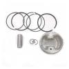 Piston Kit for LH 300 ATV UTV GO Kart - Replacement Parts Code 22505A 22506A view 1