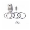 Piston Kit for LH 300 ATV UTV GO Kart - Replacement Parts Code 22505A 22506A view 4