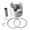 Lumenyra Piston Set Plus 0.25 MM Oversize Compatible with Outboard 40 Model 6F6-11635-00-00 6F6116350000 6F6-11635-00 6F61163500 6F5-11631-00 view 3