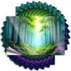 Decals Play Room Decorations | Small Bottle A Serene Forest Path Bathed in Sunlight. for Bathroom view 1