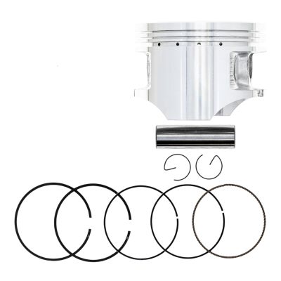 Replacement for Big Bore Piston 79.5mm for Honda Rancher TRX350FE TRX350TE 13101-HN5-670 Mod-TE8-22796