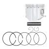Replacement for Big Bore Piston 79.5mm for Honda Rancher TRX350FE TRX350TE 13101-HN5-670 Mod-TE8-22796 view 1