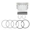 Replacement for Big Bore Piston 96mm for Yamaha Grizzly 600 YFM600F XT600 3TB-11631-00-Y0 Mod-TE8-22374 view 1