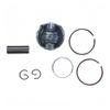 2-Stroke Piston Kit Compatible with Honda DIO50 AF18E AF28 KYMCO ZX50 50cc Scooter view 3