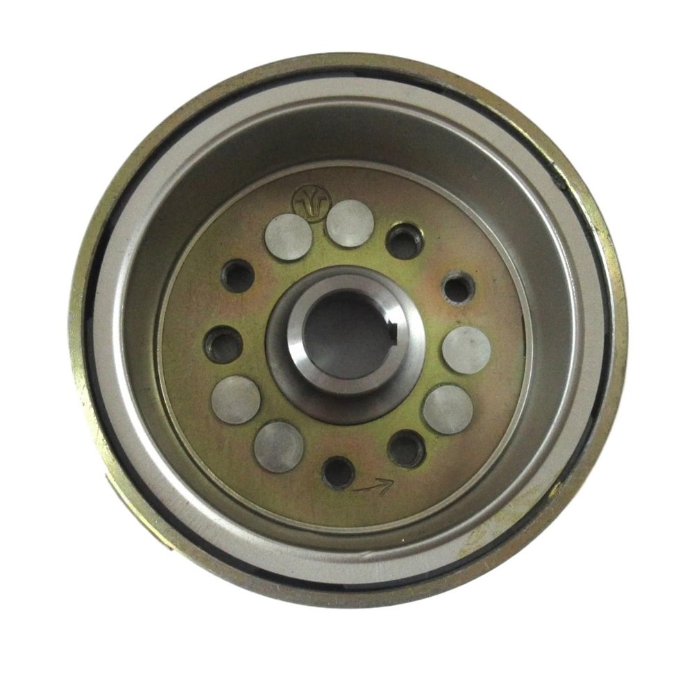 Magneto Rotor Compatible with Jianshe 250 JS250 Mountain Baja Wilderness Trail WD250-U YM250 Bear Tracker FG-841000-0 JS250ATV-5 Flywheel