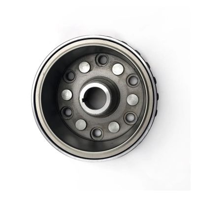 PADGZQGRZ Flywheel Rotor For 800 ATV UTV Bennche Supermach 800CC P010000311100000 31110-010-0000 31110-010000-0000