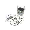 Lifan 140cc Piston Kit 55mm with 15mm Pin for CRF50 KLX Pit Dirt Bike - Good ENG-INE Upgrade view 2