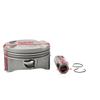 6DX-11631-93 & 6DX-11642-93 Piston Set STD for Yamaha Waverunner F250 Outboard view 3