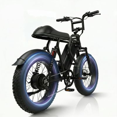 ZGHZGH Bike 20 inch NY HUANJU-73D-BLACK-3