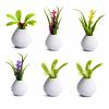 ZZGSUS Mini Floral Vase Decor Set of 6, Miniature Flower Vase Ornaments for Desk Shelf Dollhouse, Tiny Faux Plant Accents for Micro Landscape, Car Dashboard, Home Office Decor view 1