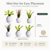 ZZGSUS Mini Floral Vase Decor Set of 6, Miniature Flower Vase Ornaments for Desk Shelf Dollhouse, Tiny Faux Plant Accents for Micro Landscape, Car Dashboard, Home Office Decor view 4