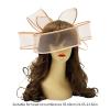 Lady Hair Clip Elagant Hairpin Barrettes Oversized Headdress for Makeup Party Masquerades 1920s Cosplay Flapper Headdress view 3