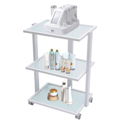 3-Tier Stand Tray Trolley,Treatment Beauty Storage Rolling Trolley Cart with Wheels,Spa Salon Storage Equipment Organizer for Bathroom, Laundry, Bedroom, Load-Bearing 330lbs