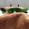 Lilihuimaoyi Small Animal for Ferret, Rat, and Guinea Pig Cages Hanging Pet Bed, Red, Round Swing view 4