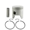 OiVAfjzp Piston Kit 6H4-11631-01 Std Two Ring 67MM Compatible with Outboard Motor 2 Stroke 40HP 50HP view 1