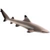 Safari Ltd Blacktip Reef Shark Figurine - Lifelike 5.75" Model Figure - Educational Toy for Boys, Girls, and Kids Ages 3+ view 1
