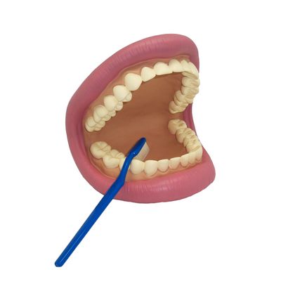 Get Ready Kids Large Mouth Dental Puppet 8" Oral Hygiene Teaching Aid with Toothbrush & Guide Teeth Brushing Demonstration Model for Kids