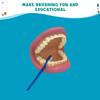 Get Ready Kids Large Mouth Dental Puppet  8" Oral Hygiene Teaching Aid with Toothbrush & Guide  Teeth Brushing Demonstration Model for Kids view 3
