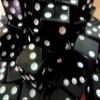 25 Black Dice - 16MM view 2