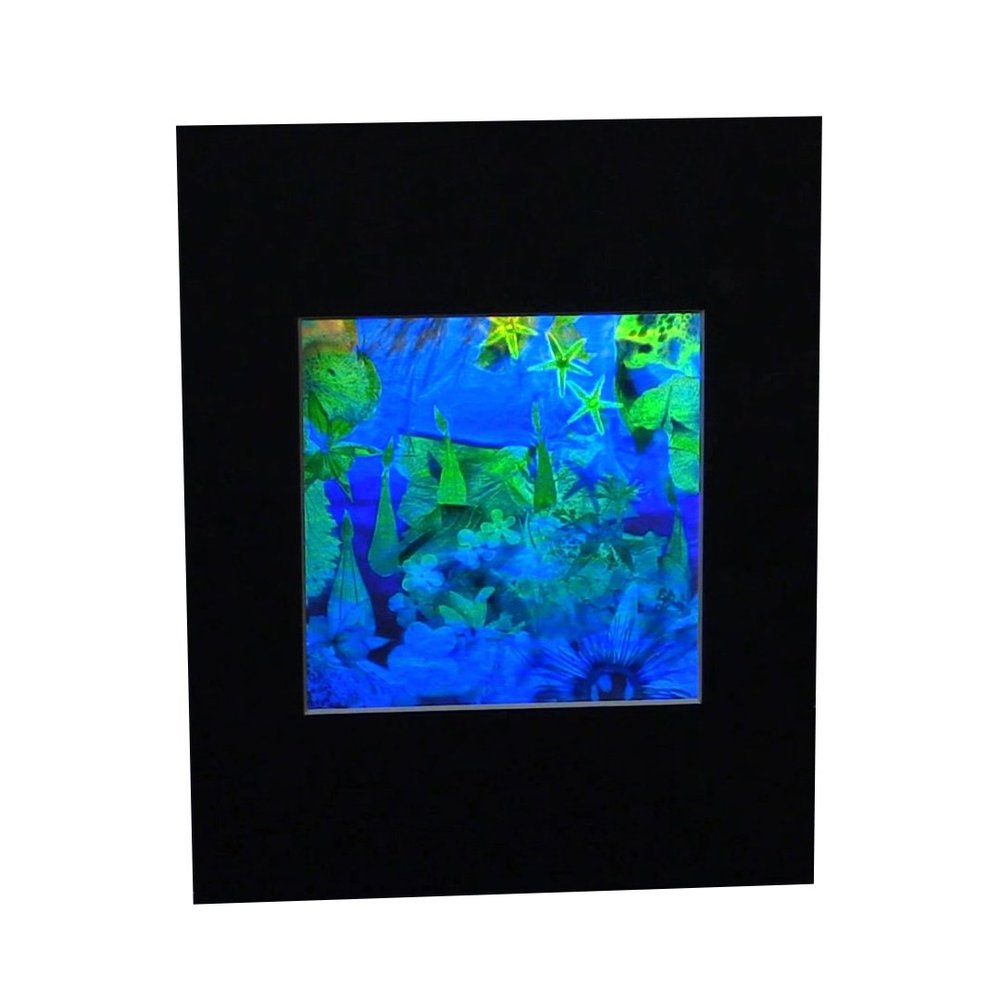 3D Undersea Hologram Picture(MATTED), Collectible Embossed Type Film