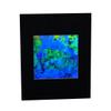3D Undersea Hologram Picture(MATTED), Collectible Embossed Type Film view 1
