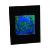 3D Undersea Hologram Picture(MATTED), Collectible Embossed Type Film view 2