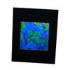 3D Undersea Hologram Picture(MATTED), Collectible Embossed Type Film view 3