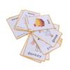 20 pcs Farm Animals Flashcards for Kids | Learning Cards & Montessori Pocket Cards for Pre-K Wall Stickers and Insect Themed Party, Online Classroom | Teacher/Autism Therapists Tools view 1