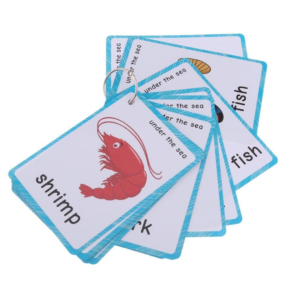20 pcs Sea Animals Flash Cards for Toddlers | Marine Animals Learning Cards & Montessori Pocket Cards Perfect for Pre-K Wall Stickers and Insect Themed Party, Teacher/Autism Therapists Tools
